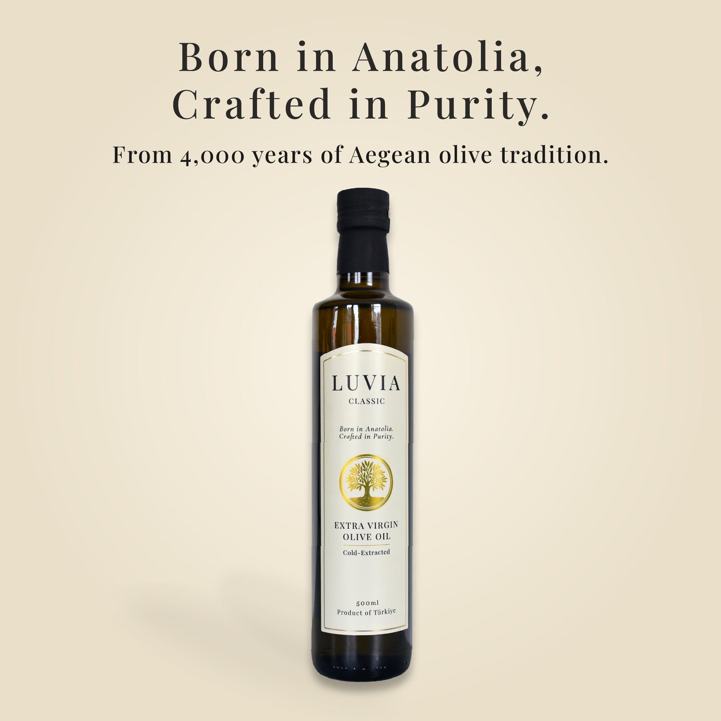 Classic (500ml)